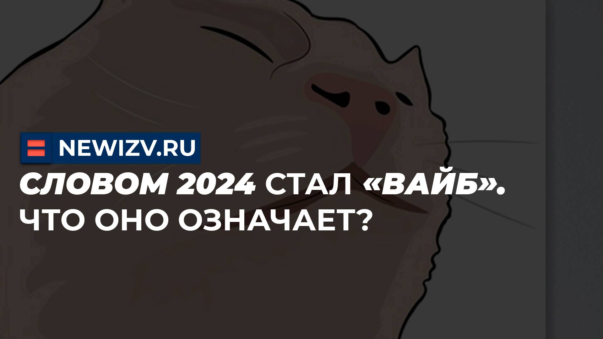 Словом 2024 стал «вайб». Что оно означает?