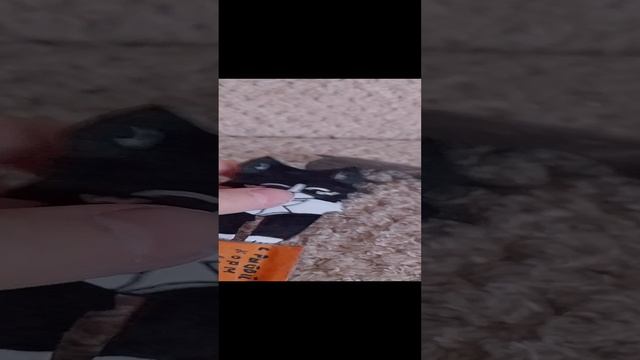 хотите туториал по кошке???
Тогда пишите комментарии!!.