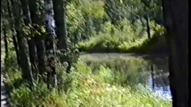 2000 Новосиб