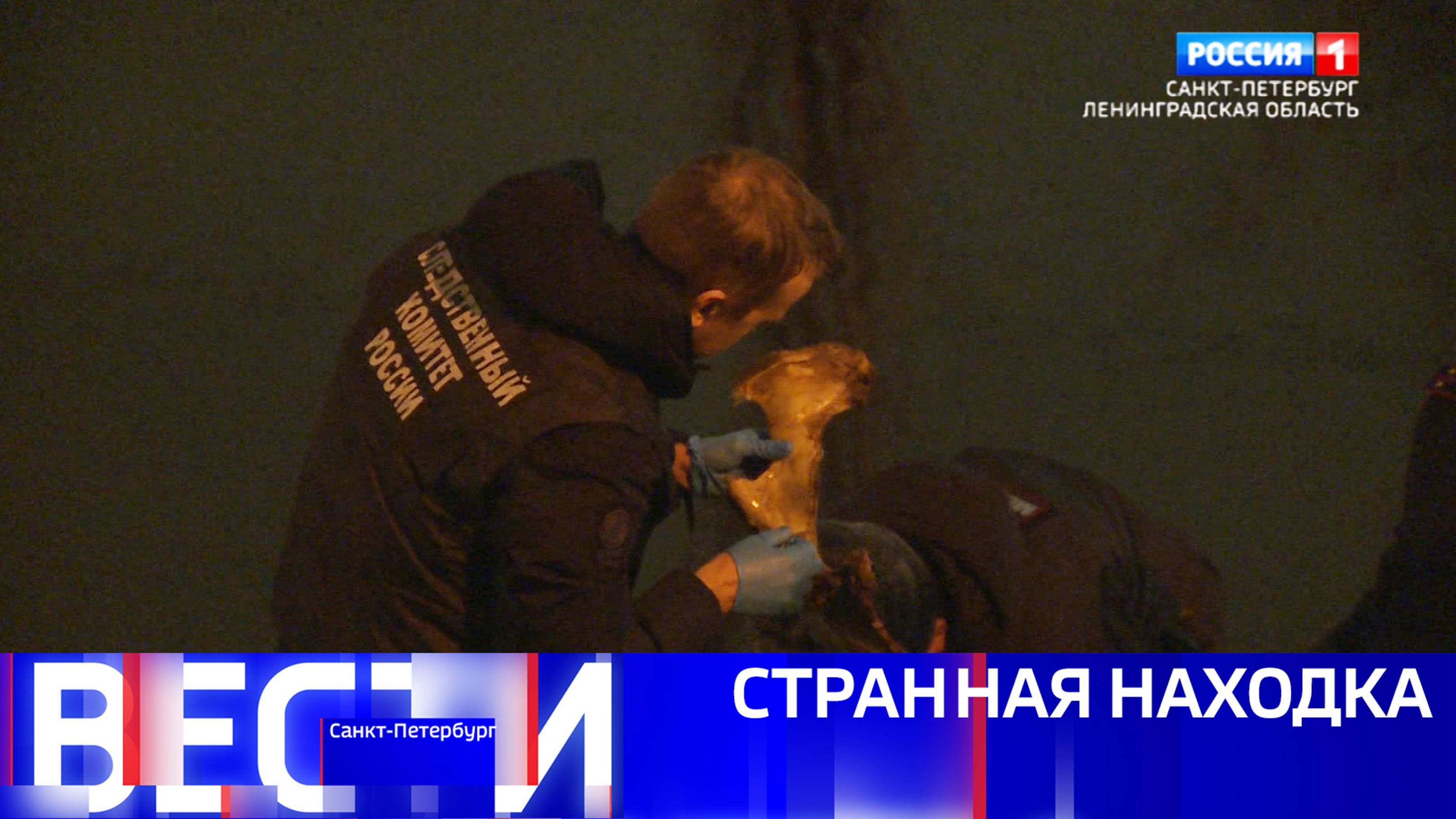 Вести Санкт-Петербург. Выпуск 21:10 от 26.11.2024