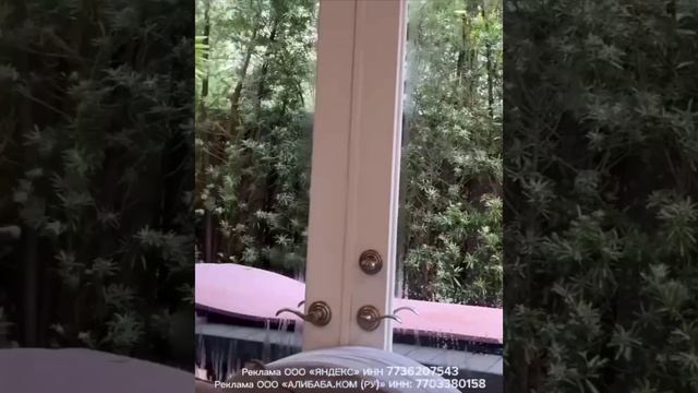 Паровой очиститель