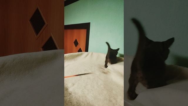 1000016480.mp4