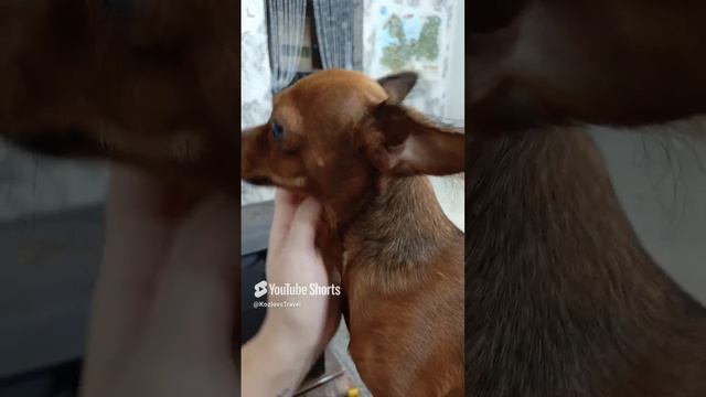в любовь надо верить