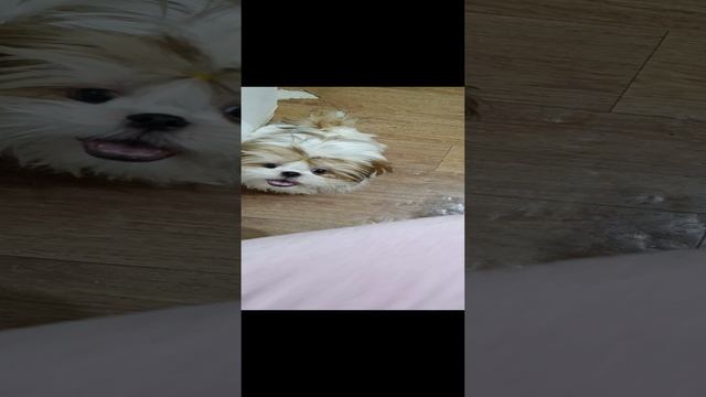 1000007507.mp4