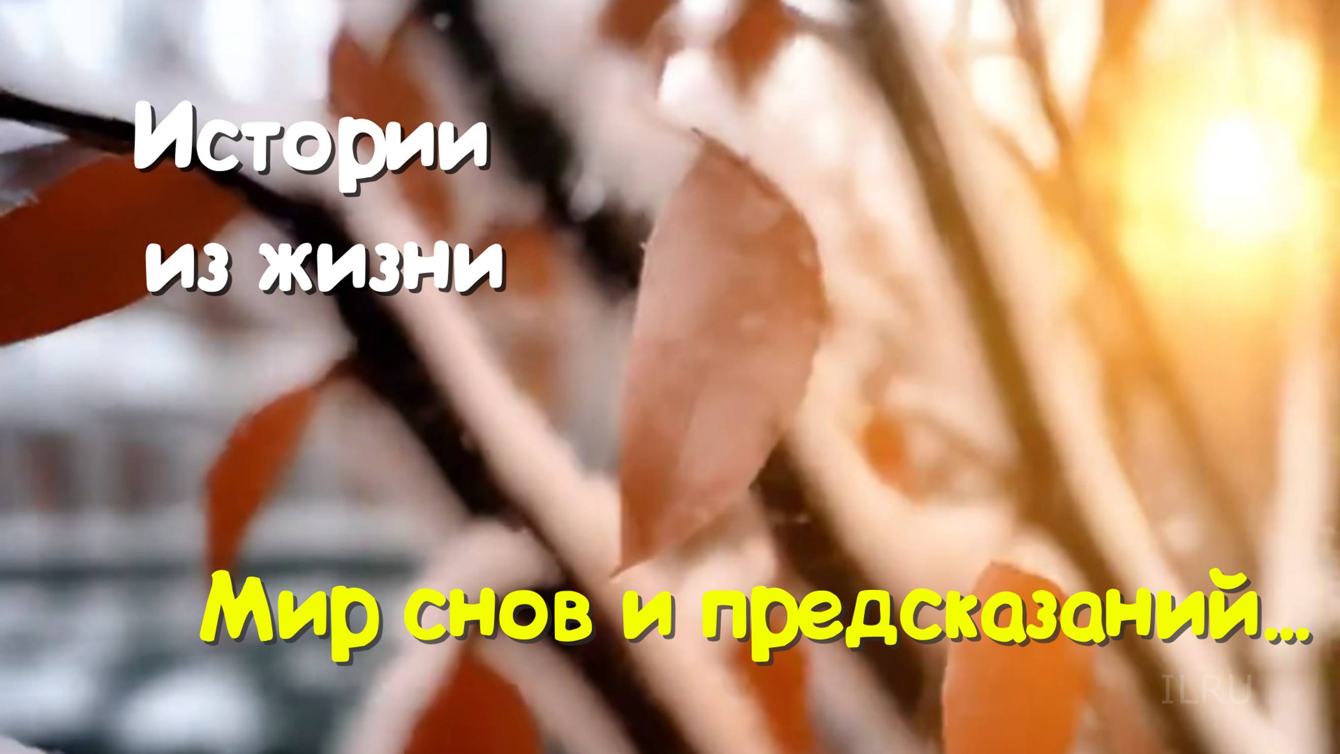 Удивительные истории из жизни - Мир снов и предсказаний...