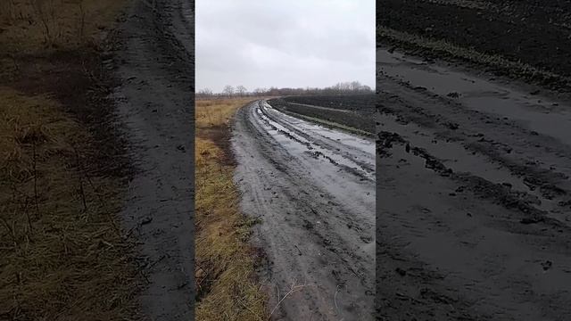 первый снег