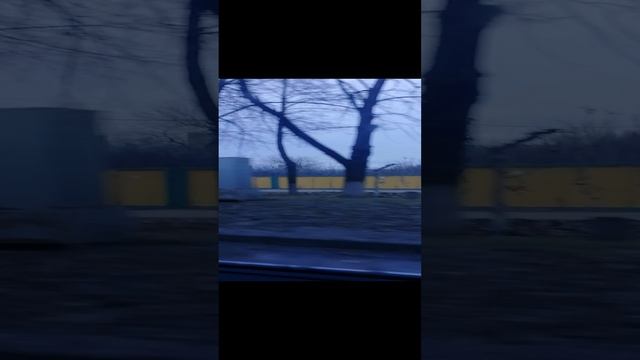 поездка в зоопарк
