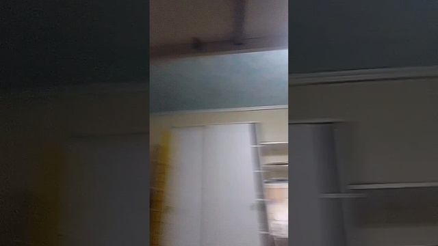 scene_output.mp4