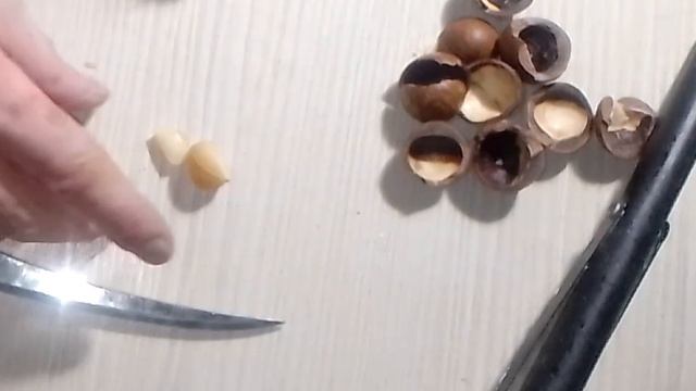 Дела, дела