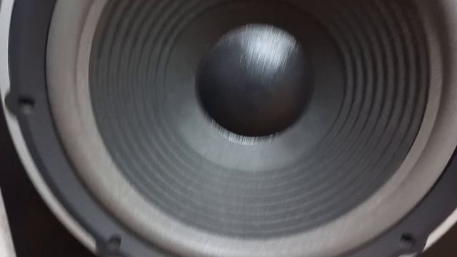 1000018152.mp4