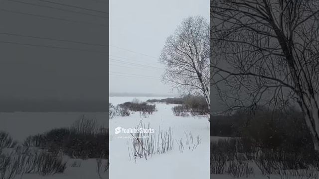 Снова метель