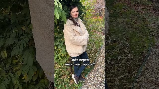 Чем обработать картофель и когда копать морковь