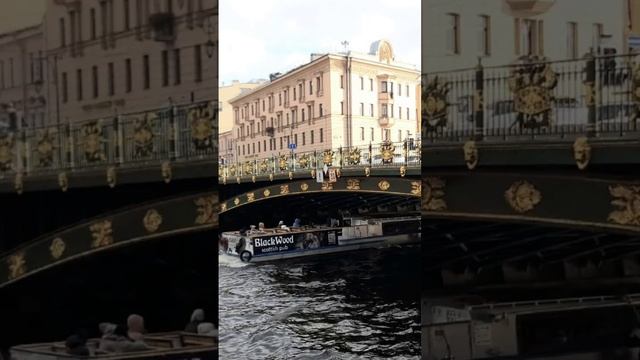 Красота #travel #питер #природа #рек #санктпетербург #autumn #люблюпитер #осень #врек #спб