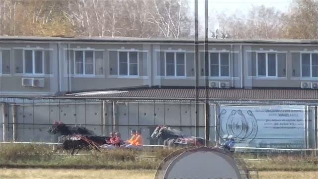 19.11.2024 г.  Заезд 1   Приз
"ИППИКА" - 2400 м.