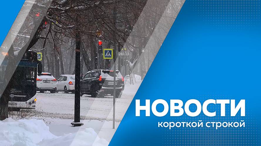 КОРОТКИЕ  НОВОСТИ  26.11.24