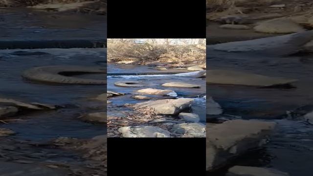 Видео от Оли. Берегите природу. Она наша сила.