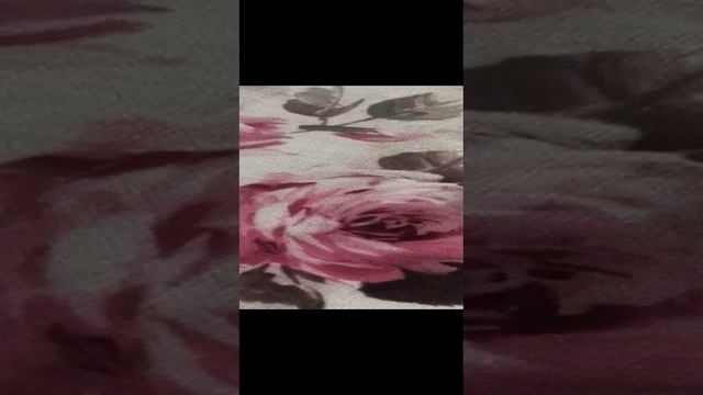 WhatsApp Video 2024-11-26 at 16.06.56