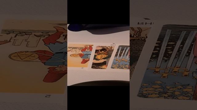 20241126_212140.mp4 Он в замешательстве