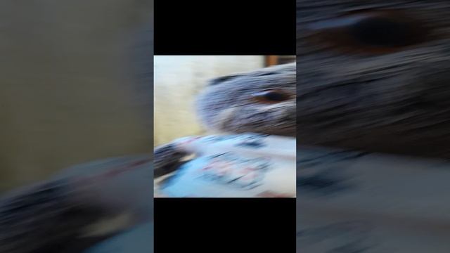 разговор с нами