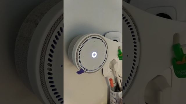 прикол с Алисой