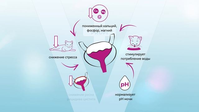 Скоро! Best Dinner Vet Profi Urinary S/O Antistress