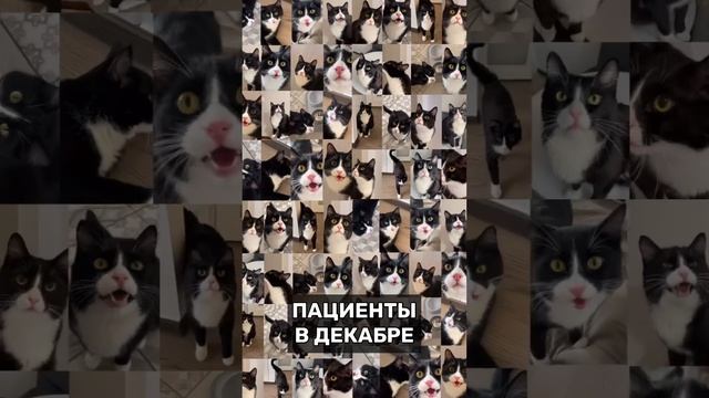 Пациенты в декабре