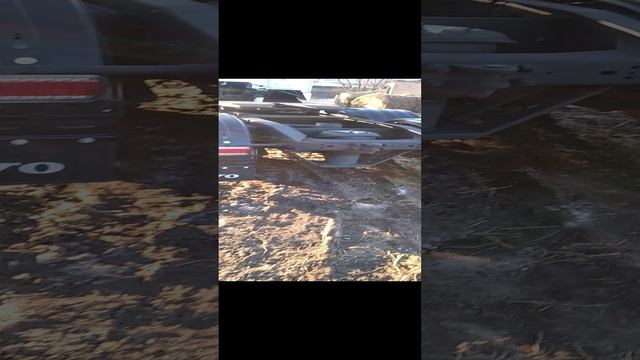 VID_20241126_144335.mp4