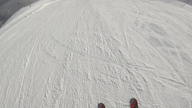 1000106334.mp4