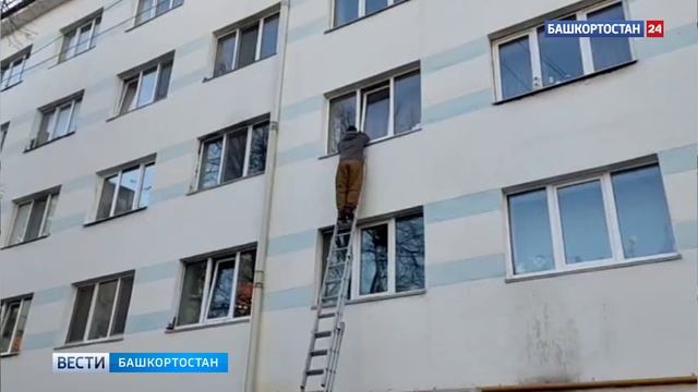 В Уфе волонтеры спасли застрявшего в форточке котенка