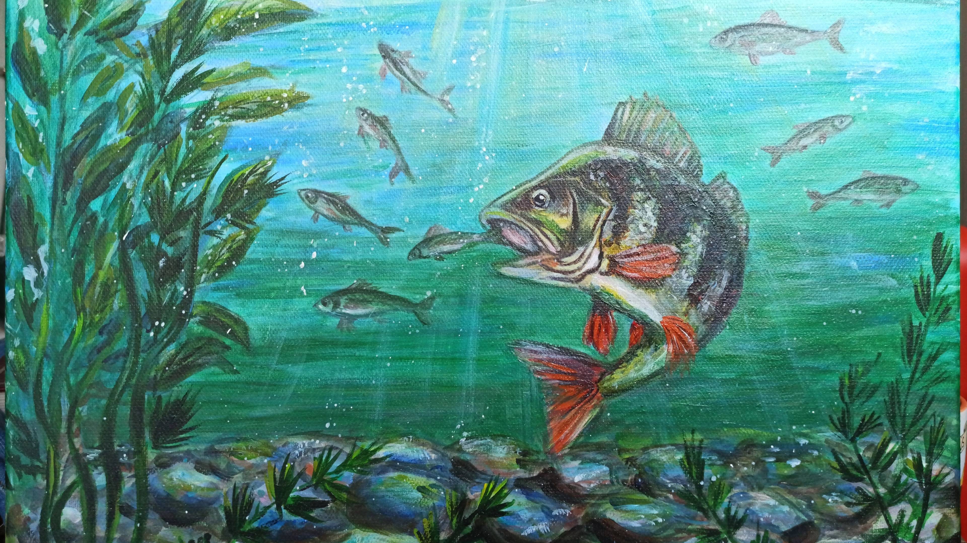 Волга Чебоксарское водохранилище. ловля горбатых окуней.
