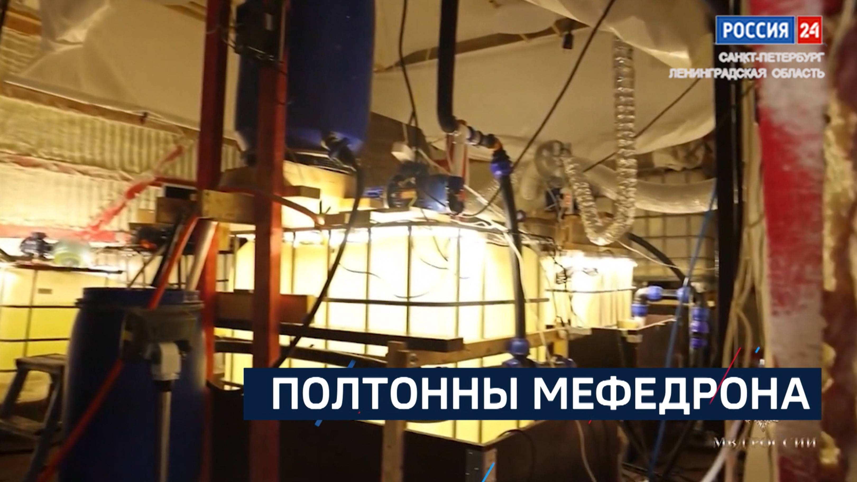 ВЕСТИ 24  Санкт-Петербург от 26.11.2024
