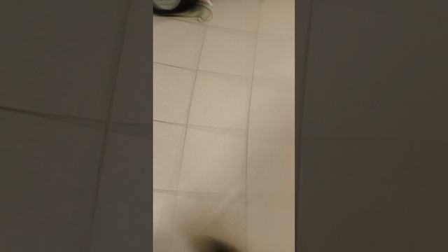 покатушки на Мироне