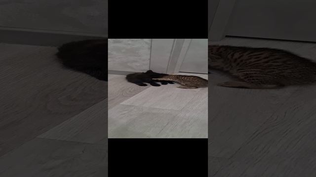 1000043483.mp4