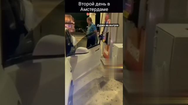 Сатурну больше грибов не давать!