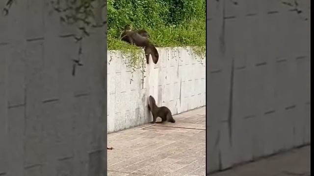 уходим