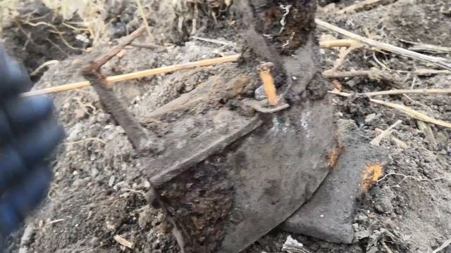БИТВА ЗА СТАКАН!!! Приз за лучшую находку