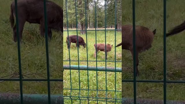 add me, #adme услуги  от #адвокат , #английский онлайн , #массаж , #travel , #отдых , #реклама ,