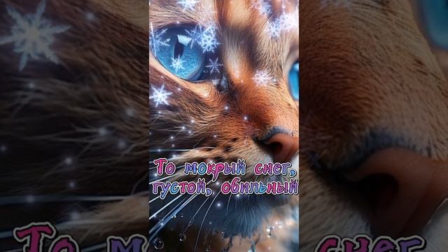 1000009593.mp4