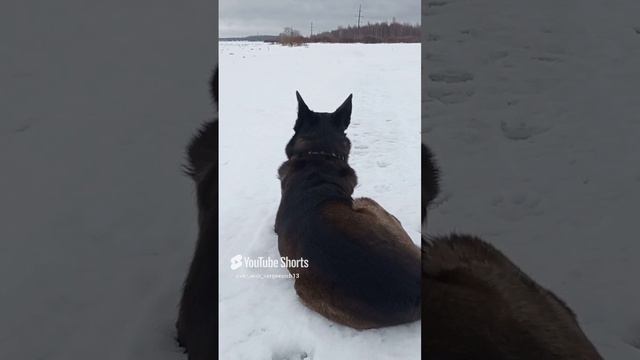 Заняли наблюдательную позицию