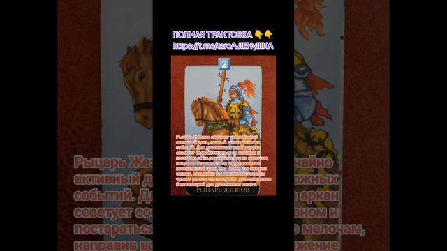 ⚜️КАРТА ДНЯ ⚜️ 26.11.2024⚜️