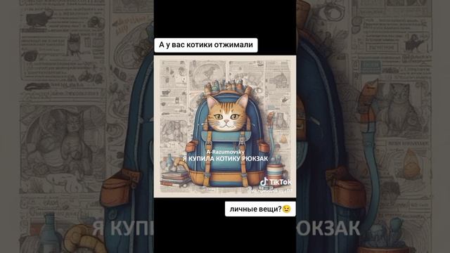 A-Razumovsky - Я купила котику рюкзак