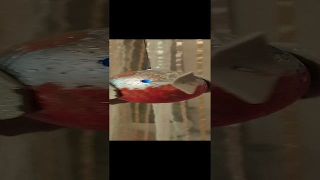 1000059073.mp4