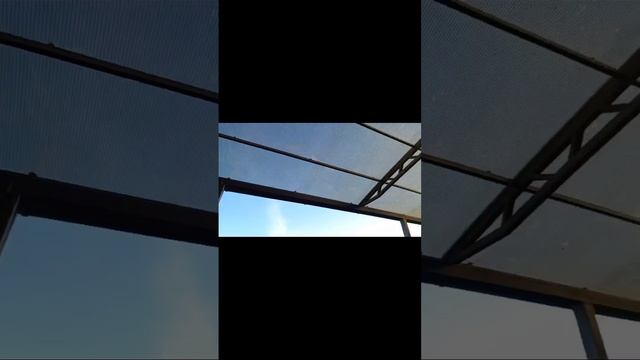 scene_output.mp4