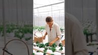 Анекдот. Поддержать Сбер 2202 2006 1176 5650