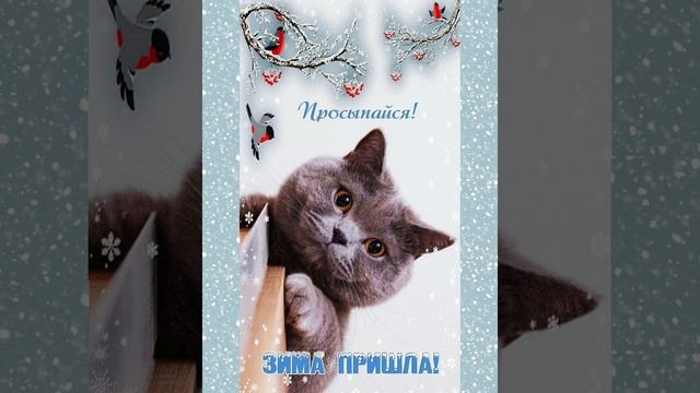 просыпайся зима пришла