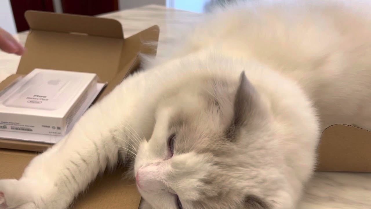 Apple Magsafe Battery Pack(Magsafe 外接电池)unboxing