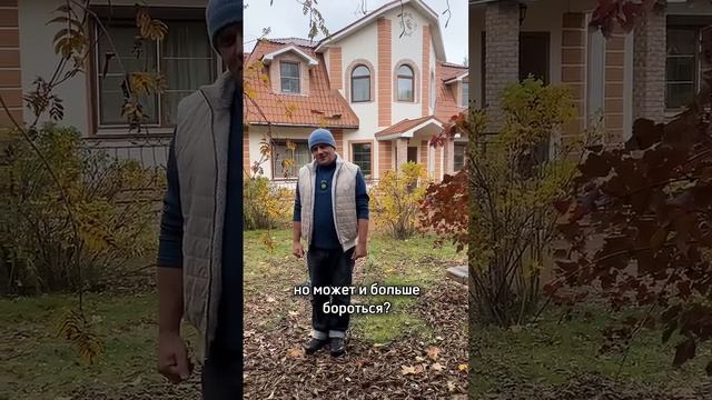 МУРАВЬИ на участке? ТЕПЕРЬ И ЭКСПЕРТ ЗНАЕТ