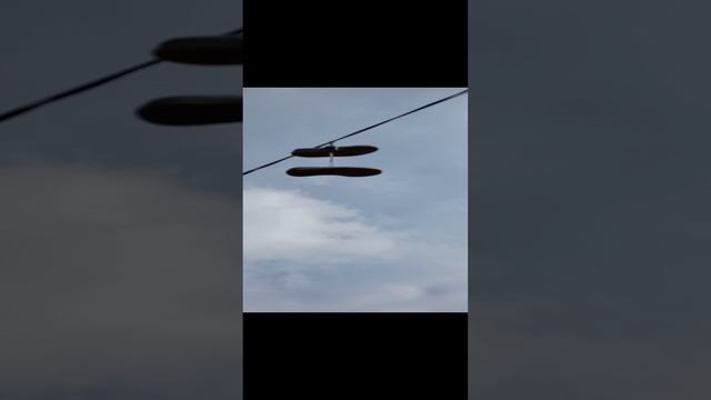 РУТУТ