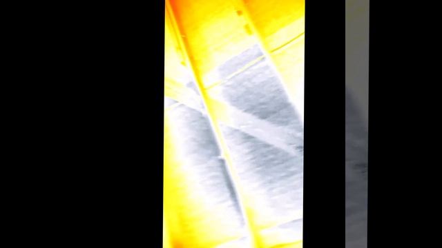 1000008083.mp4 (Собака смотрит на укрепление болтовых соединений стыков стропил дома А-фрейм)