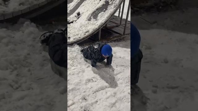 Стёпа рад снегу!Стёпа любит снег!